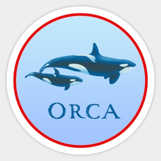 Killer whale ORCA dolphin Sticker